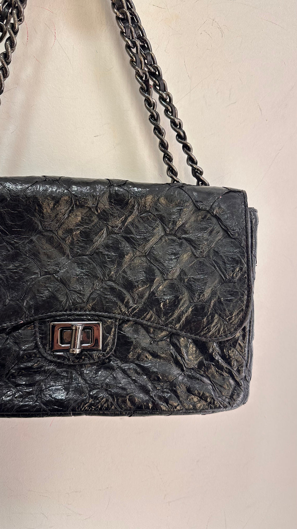Bolsa pirarucu La Spezia