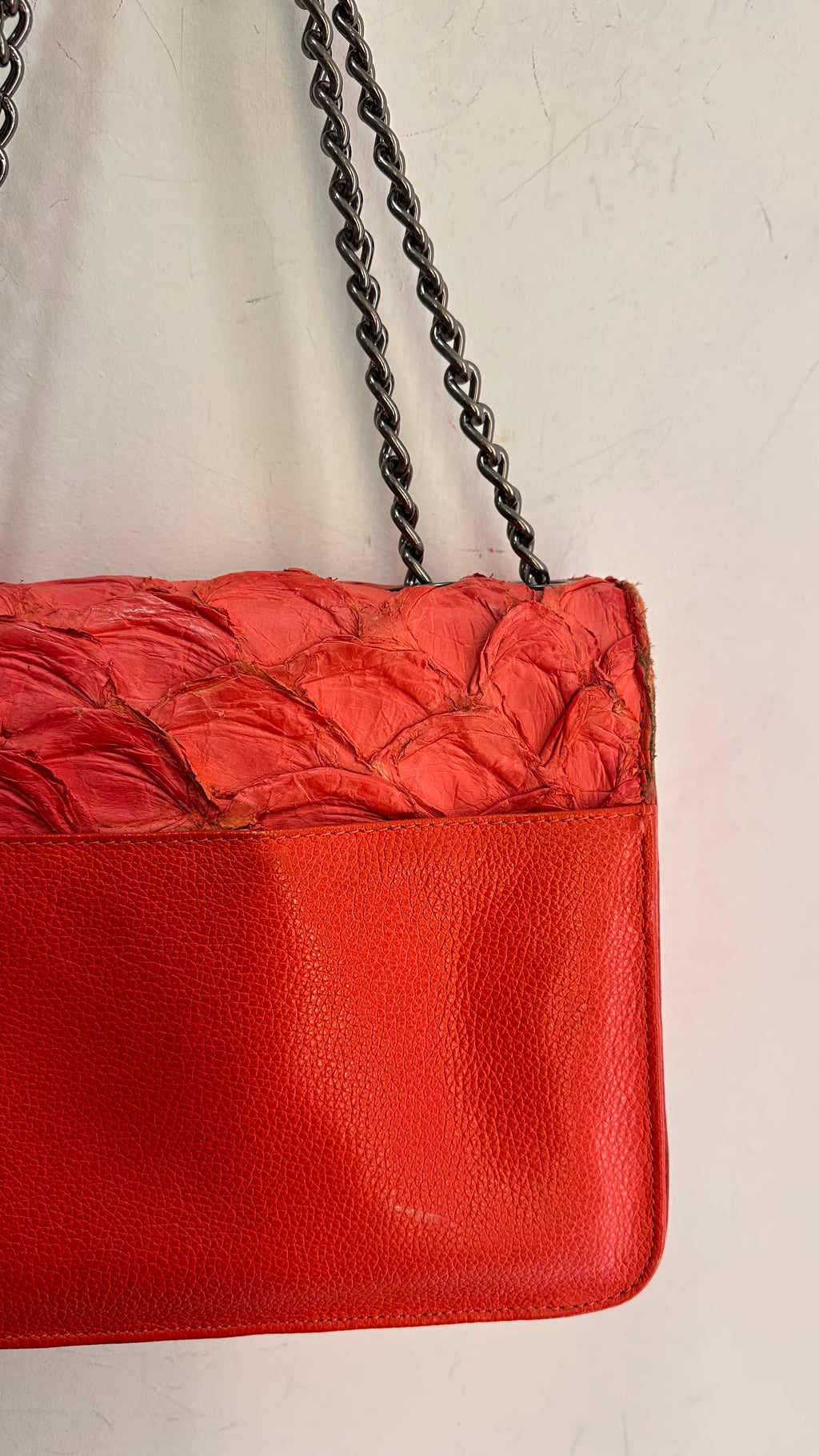 Bolsa Pirarucu