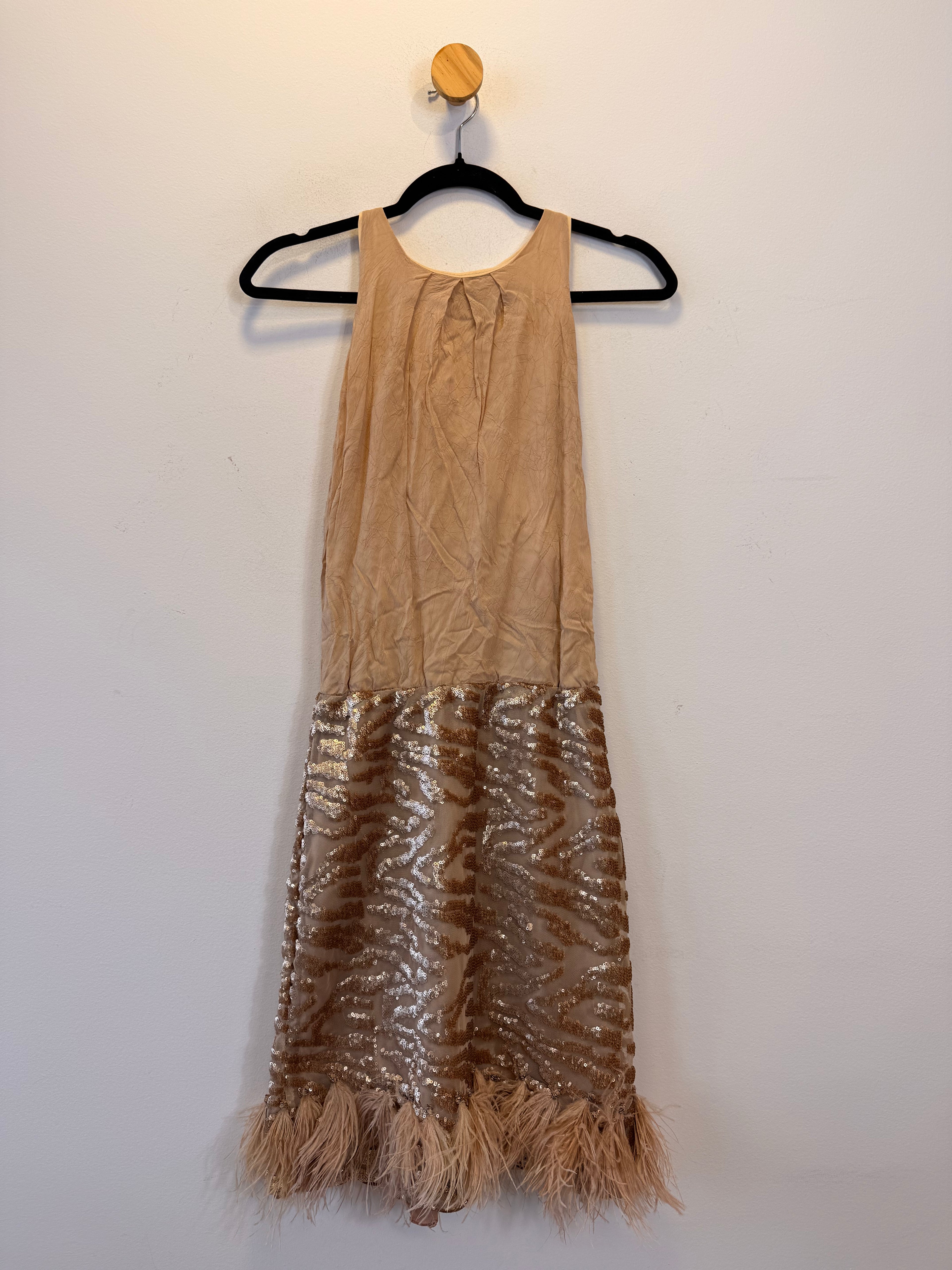 Vestido Com Plumas e Paetês