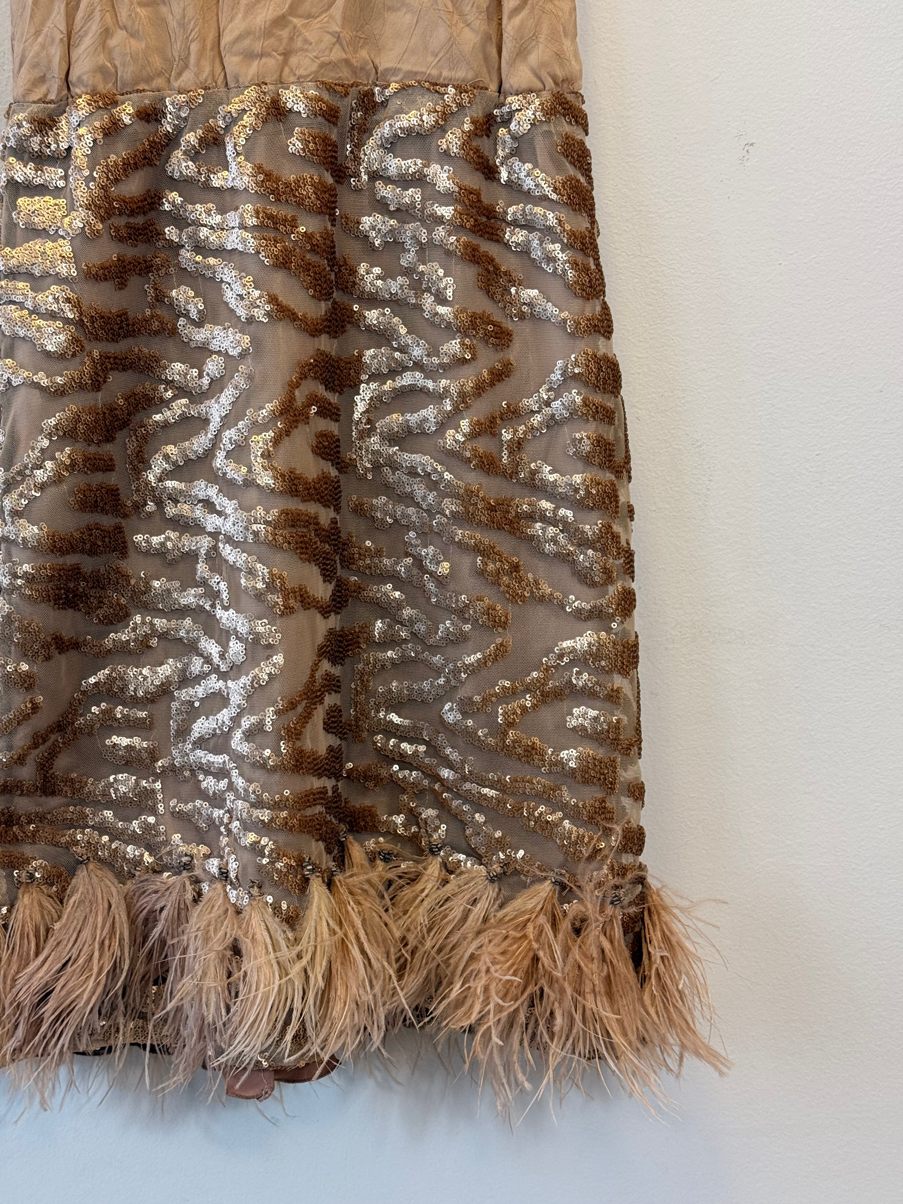 Vestido Com Plumas e Paetês
