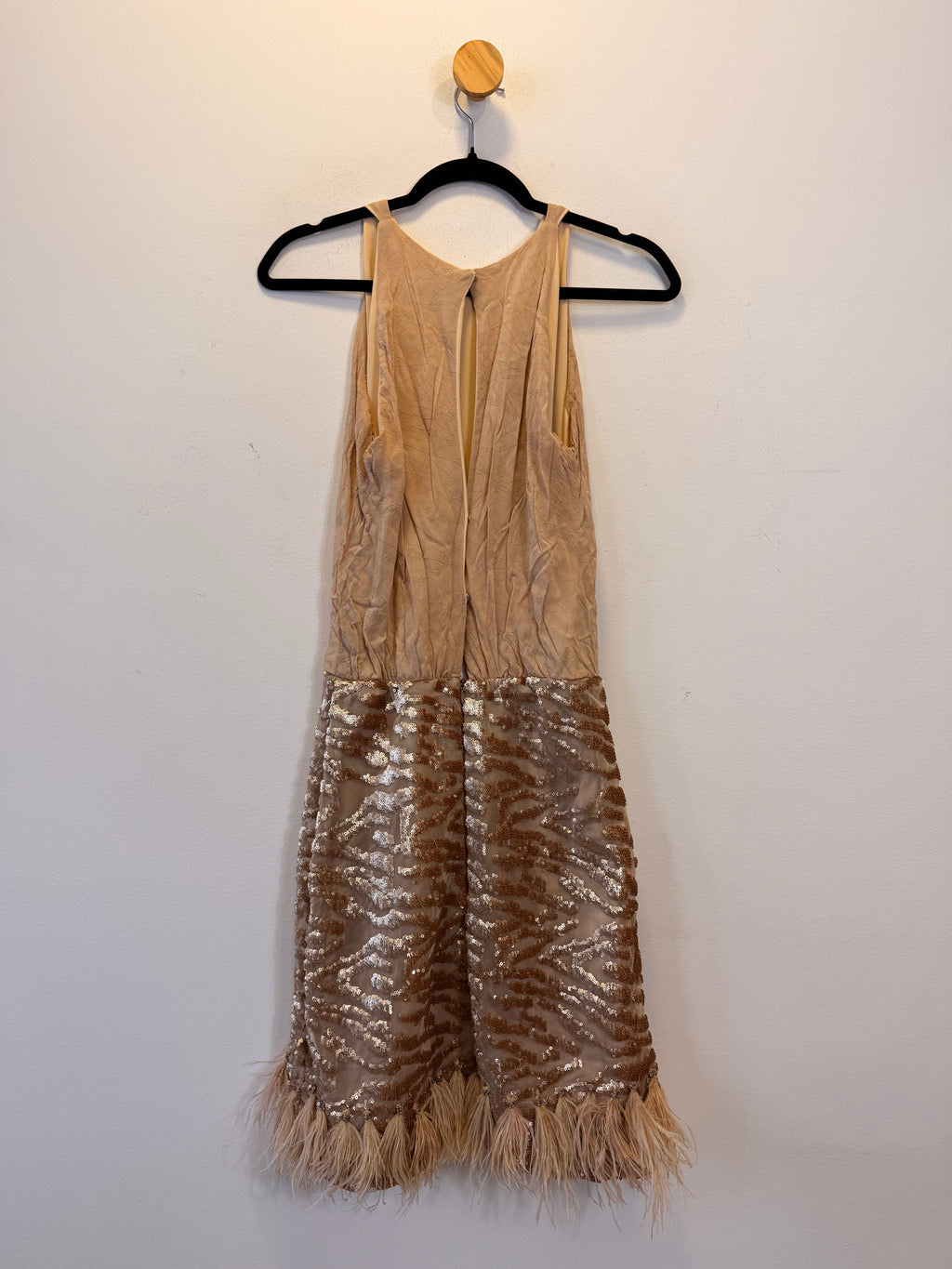 Vestido Com Plumas e Paetês