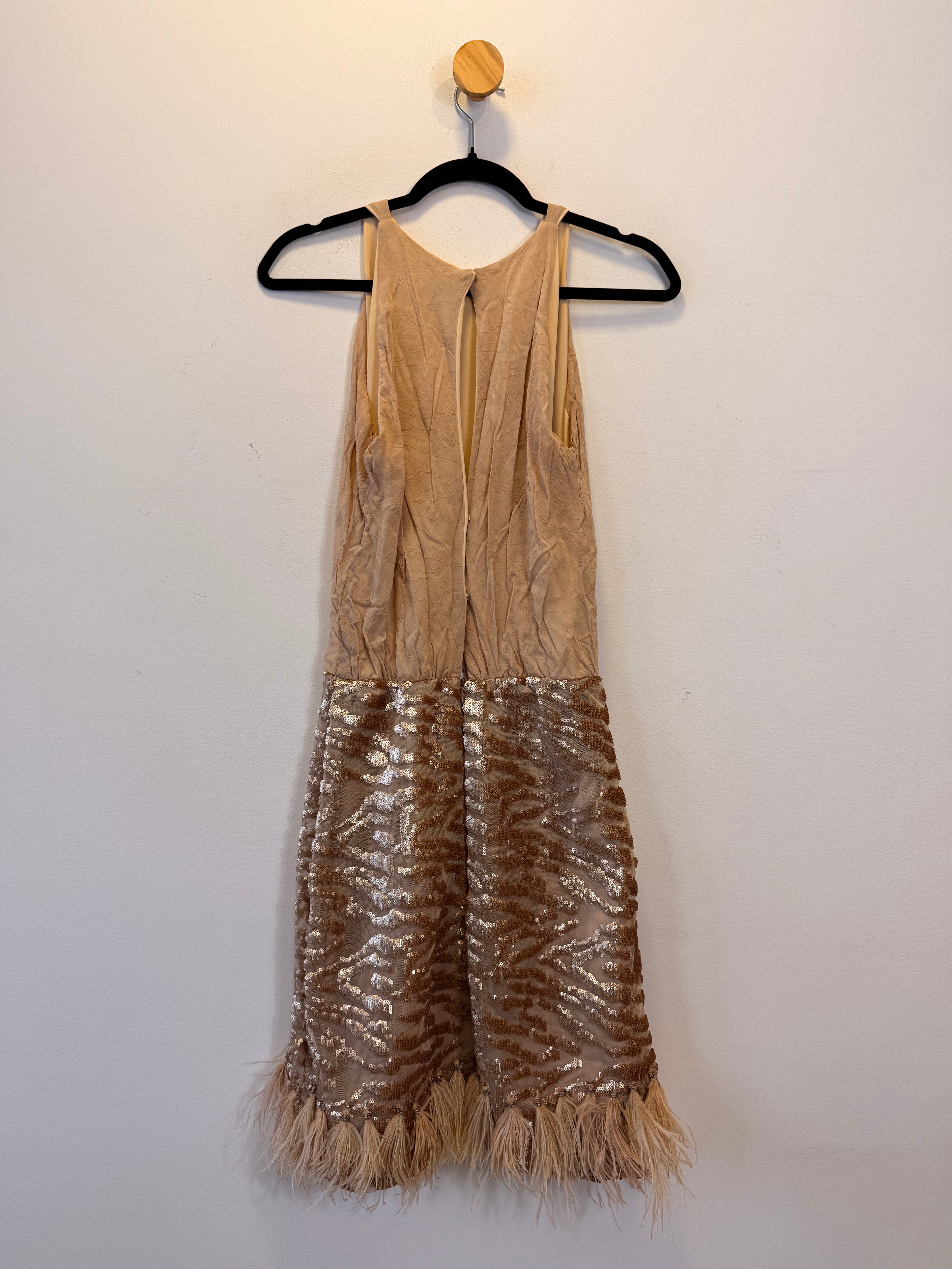 Vestido Com Plumas e Paetês
