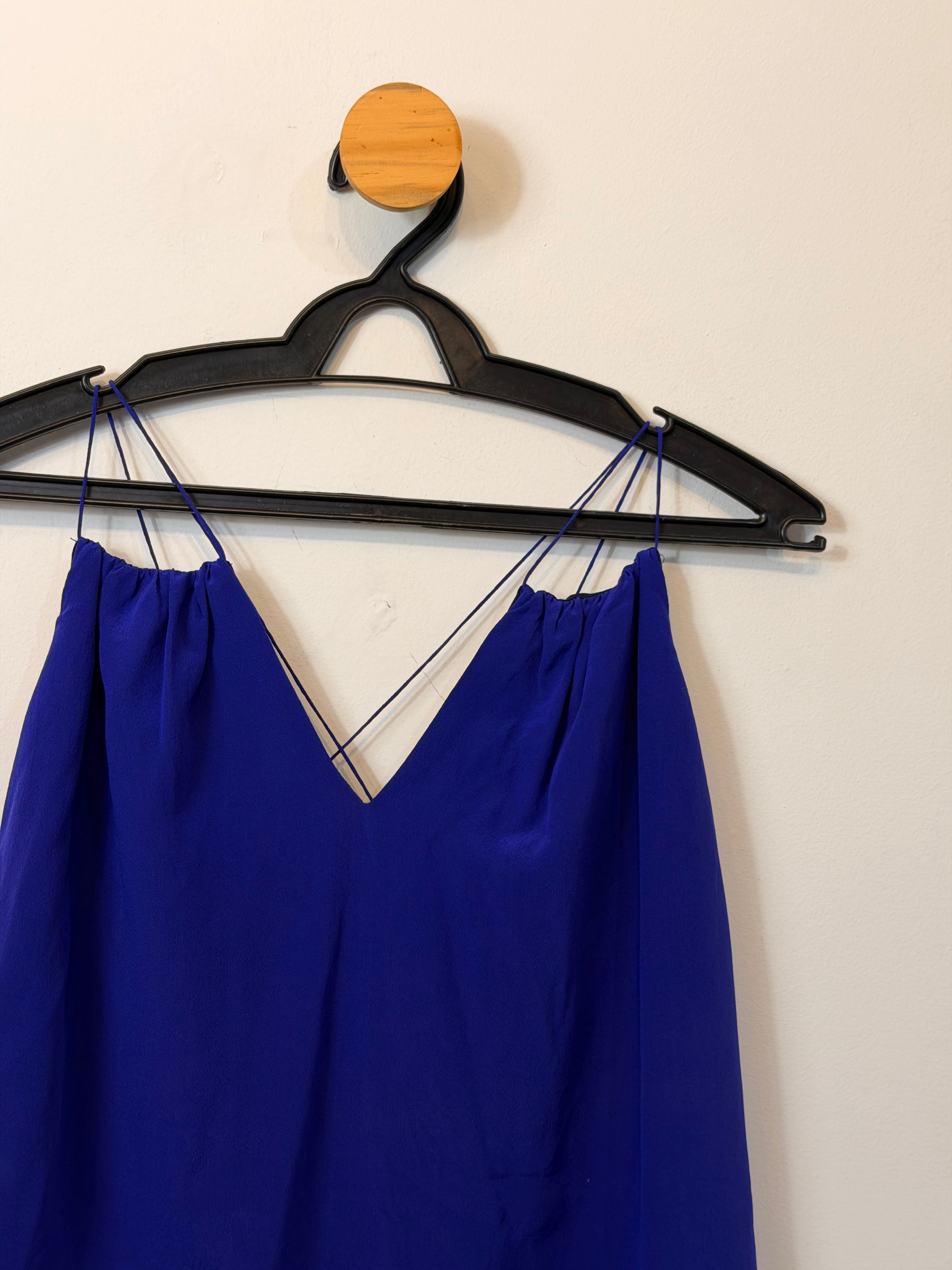 Blusa de Seda Azul Animale