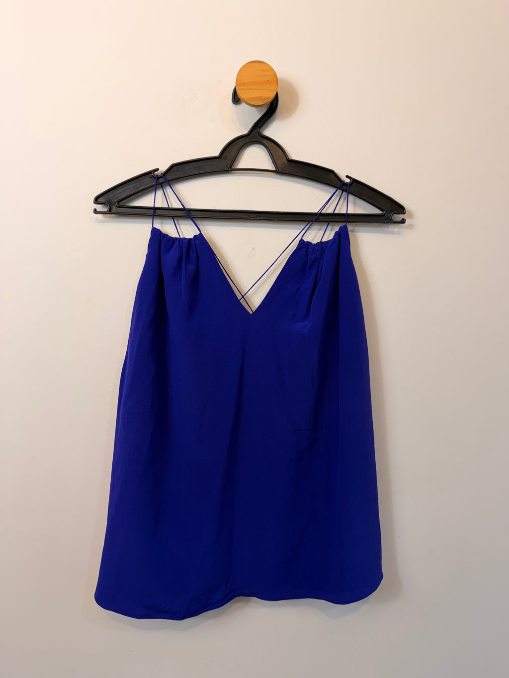 Blusa de Seda Azul Animale